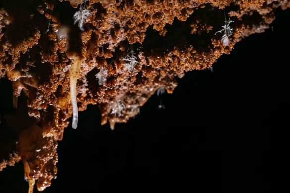 Fotografija: kristali iz jame Dragina Lipa; autor fotografije Tin Rožman